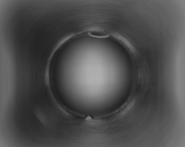 X0000101680902200807101419