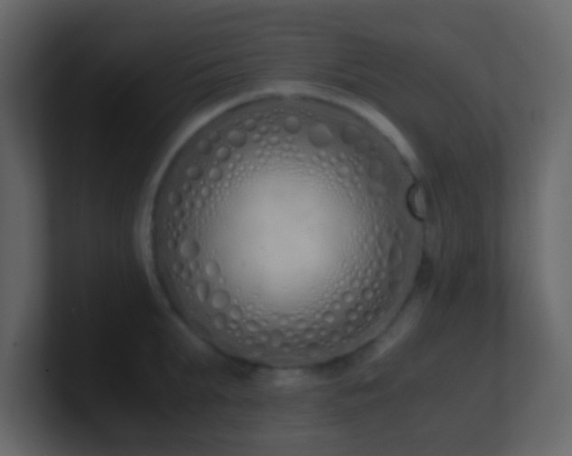 X0000101680903200807101419