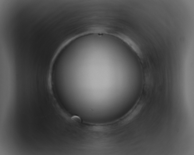 X0000101680904200807101419