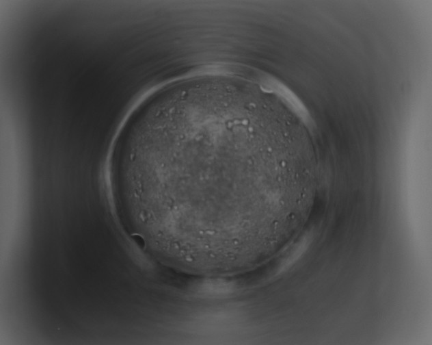 X0000101680907200807101419