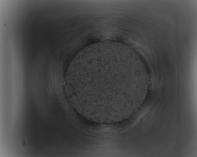 X0000101680913200807101418