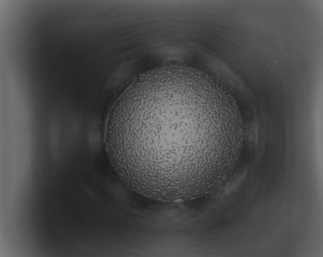 X0000101680916200807101418