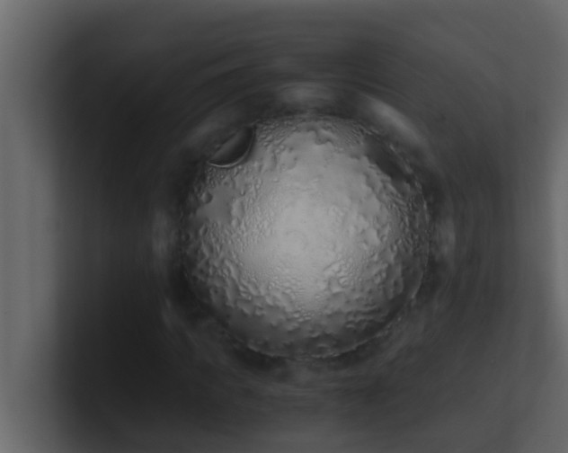 X0000101680917200807101418