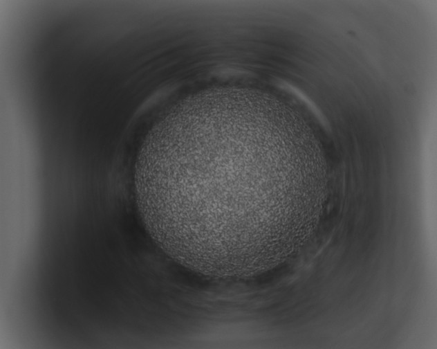 X0000101680919200807101418