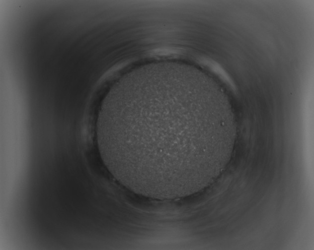 X0000101680920200807101418