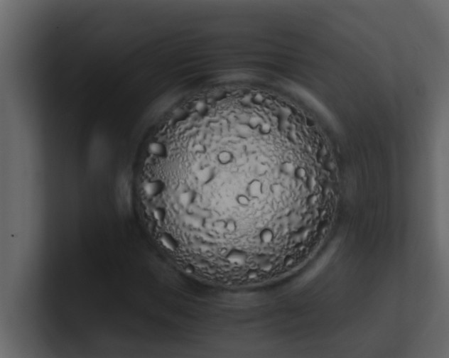 X0000101680921200807101418