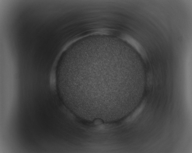 X0000101680923200807101418