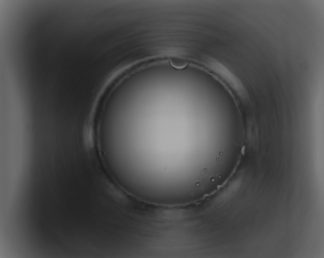 X0000101680924200807101418