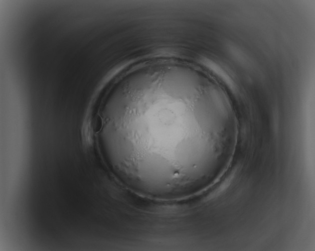 X0000101680925200807101418