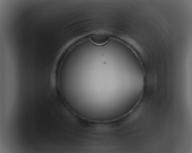 X0000101680927200807101418