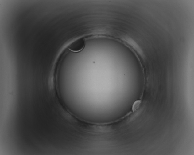 X0000101680928200807101418