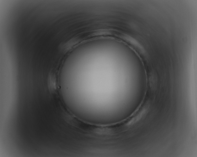 X0000101680929200807101418