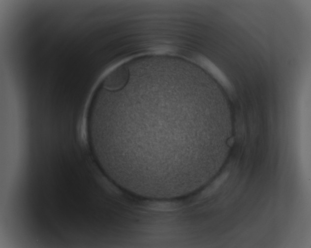 X0000101680932200807101418