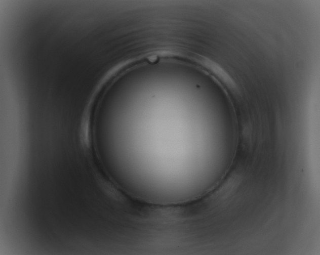 X0000101680934200807101418