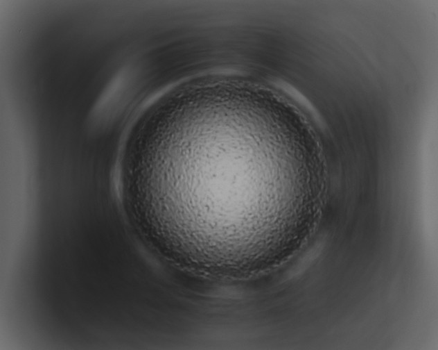 X0000101680935200807101418