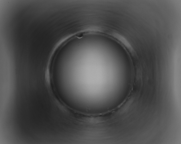 X0000101680936200807101418