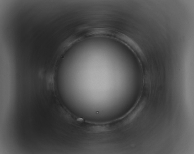 X0000101680937200807101418