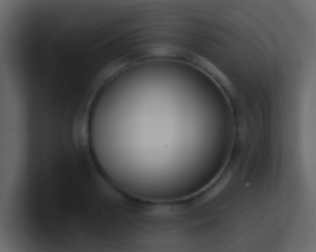 X0000101680938200807101418