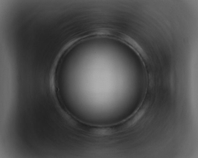 X0000101680939200807101418