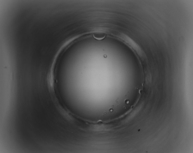 X0000101680940200807101418