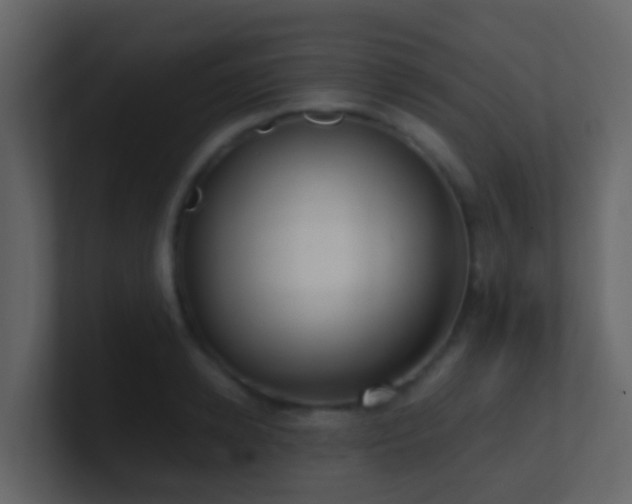 X0000101680942200807101418