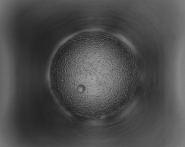 X0000101680943200807101418