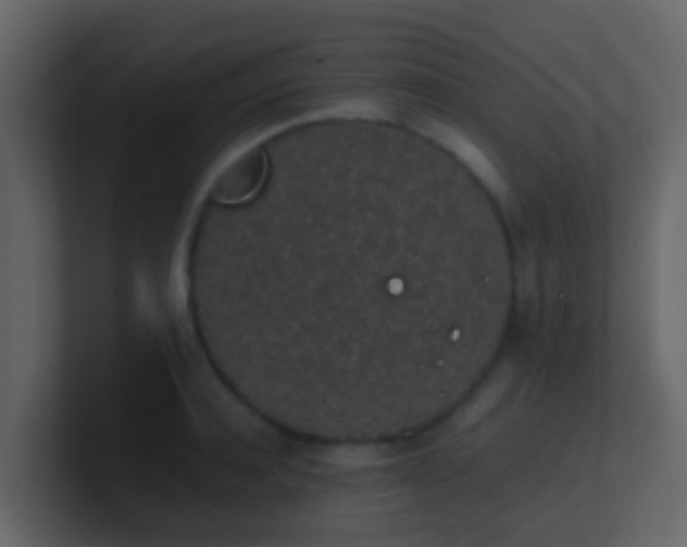 X0000101680944200807101418