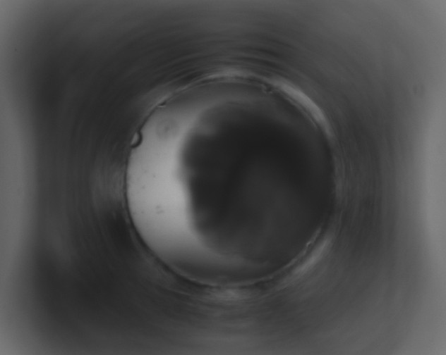 X0000101680945200807101418