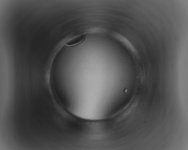 X0000101680946200807101418