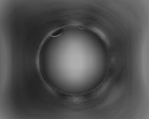 X0000101680947200807101418