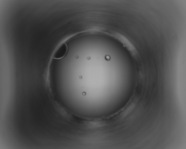 X0000101680948200807101418