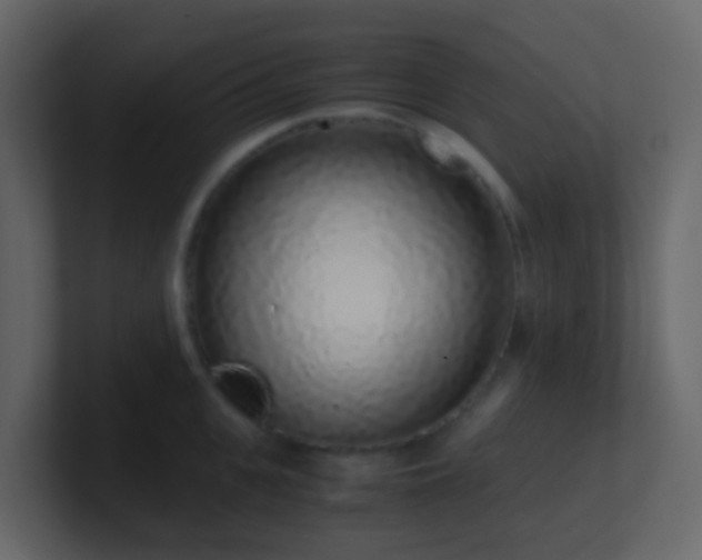 X0000101680951200807101418