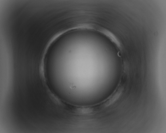 X0000101680952200807101419