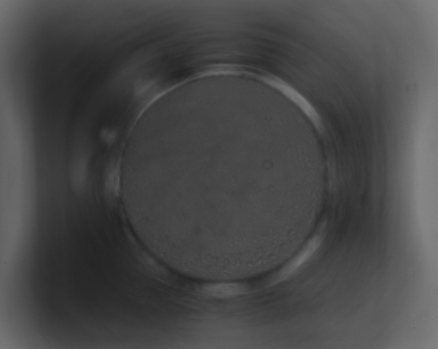 X0000101680953200807101419