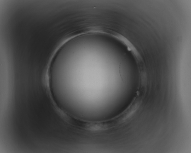 X0000101680955200807101419