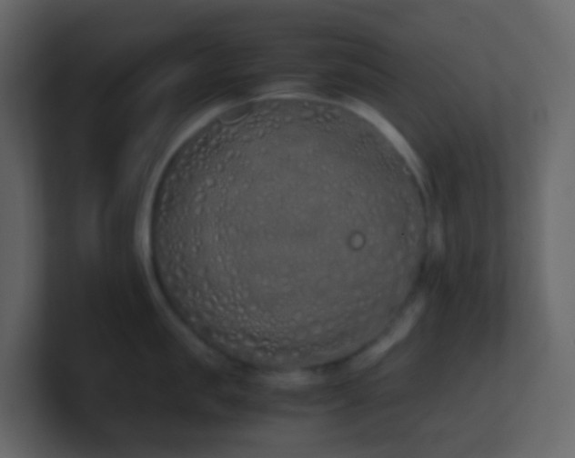 X0000101680957200807101419