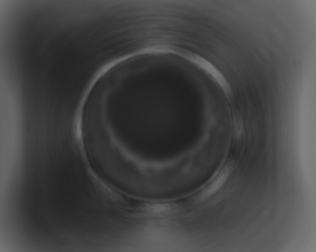 X0000101680958200807101419