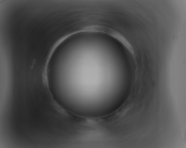 X0000101680960200807101419