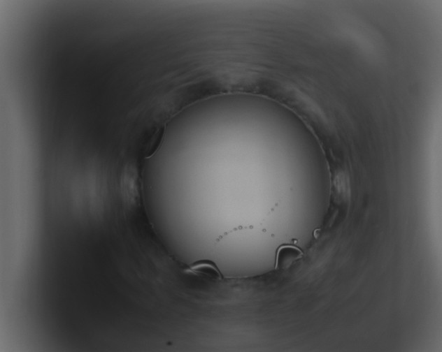 X0000101680963200807101418