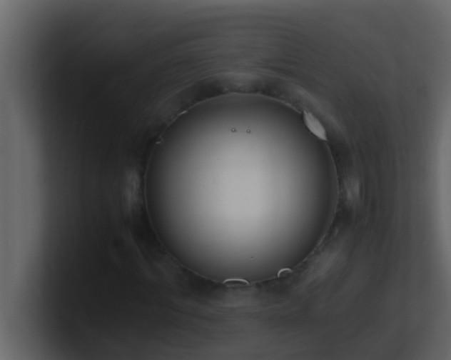 X0000101680964200807101418