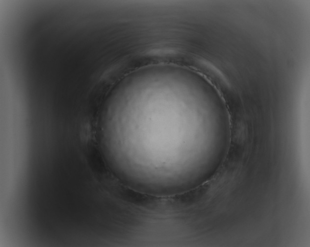 X0000101680966200807101418