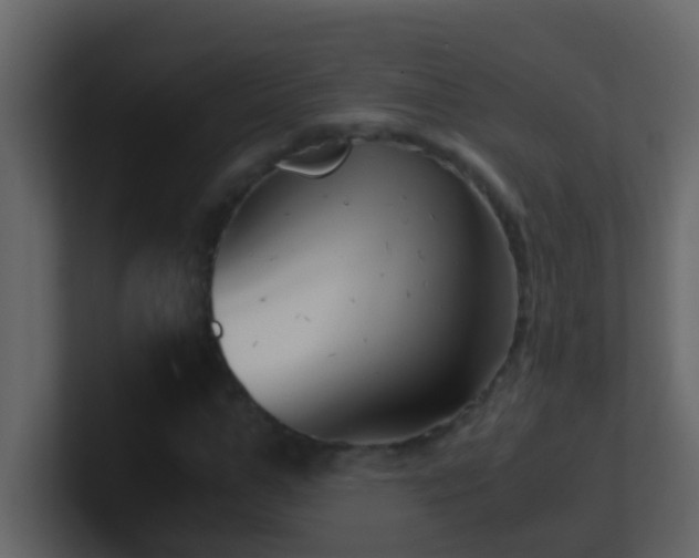 X0000101680967200807101418