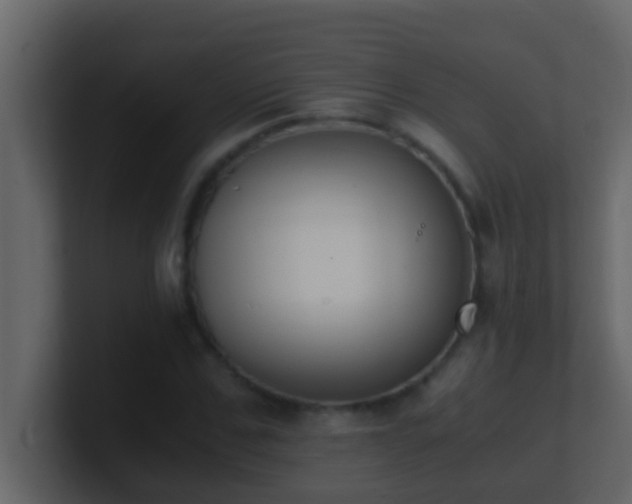 X0000101680971200807101418