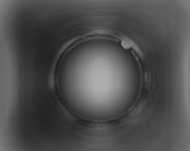 X0000101680972200807101418