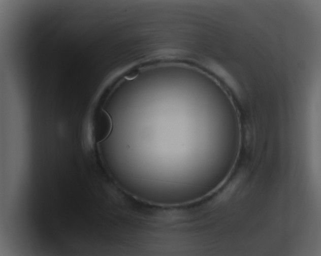 X0000101680973200807101418