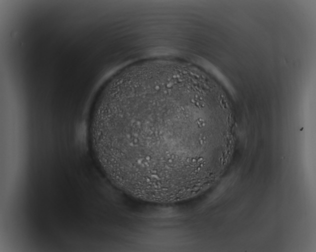 X0000101680975200807101418