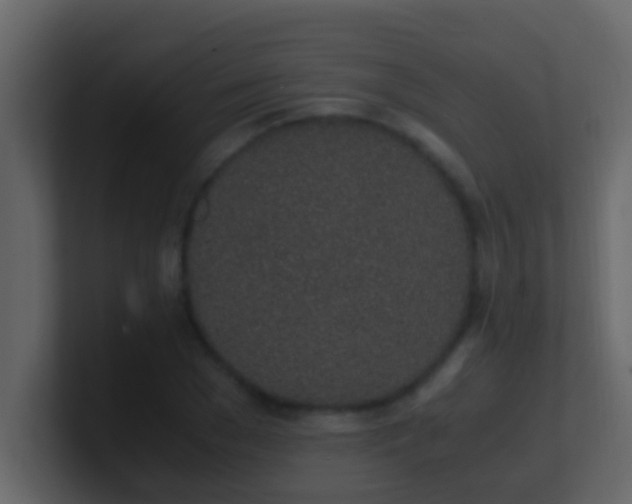 X0000101680977200807101418