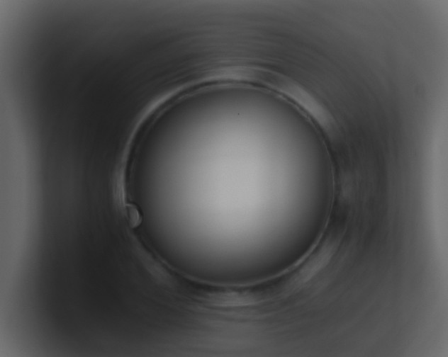 X0000101680980200807101418