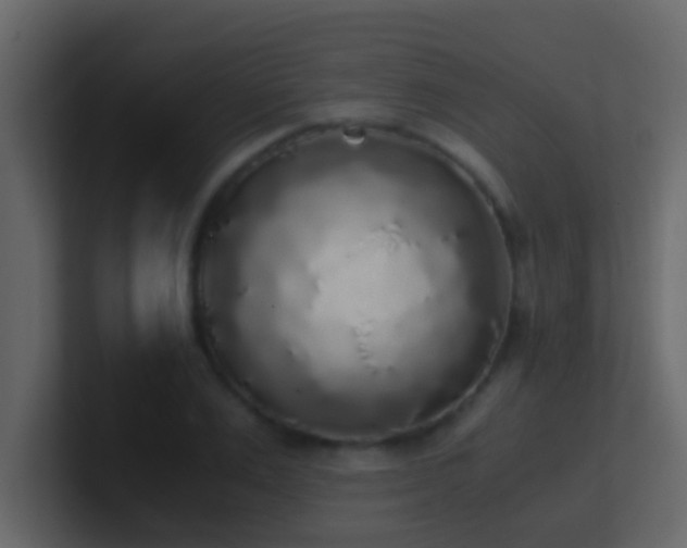 X0000101680983200807101418