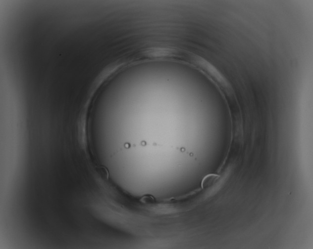 X0000101680986200807101418